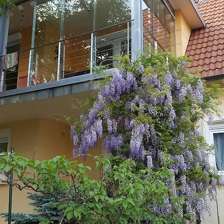 아파트 Miezerle Steisslingen